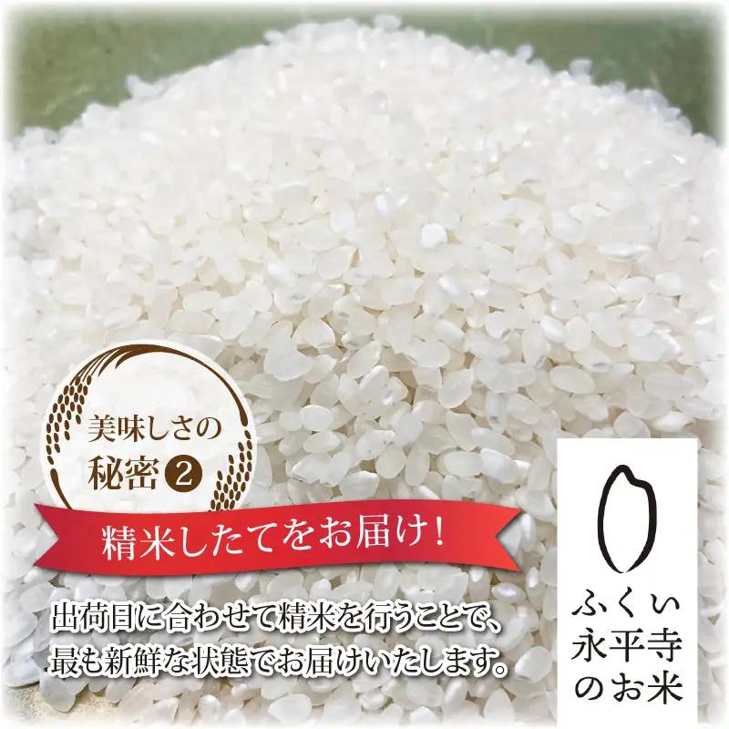 【令和8年度産 新米 先行予約】【白米】特別栽培米 コシヒカリ 10kg  [C-033104]  / 無農薬 減農薬 こしひかり 米 お米 こめ コメ 福井