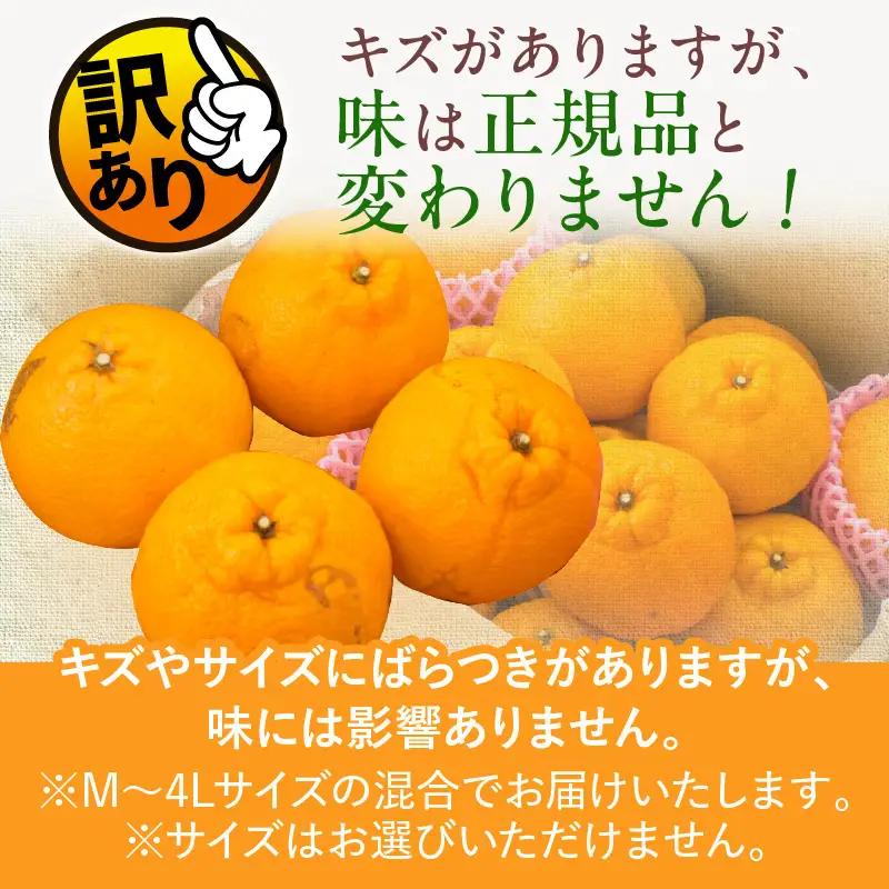 先行予約 訳あり 海藻木酢 不知火 計7kg以上 傷み補償分入り_BD129-26
