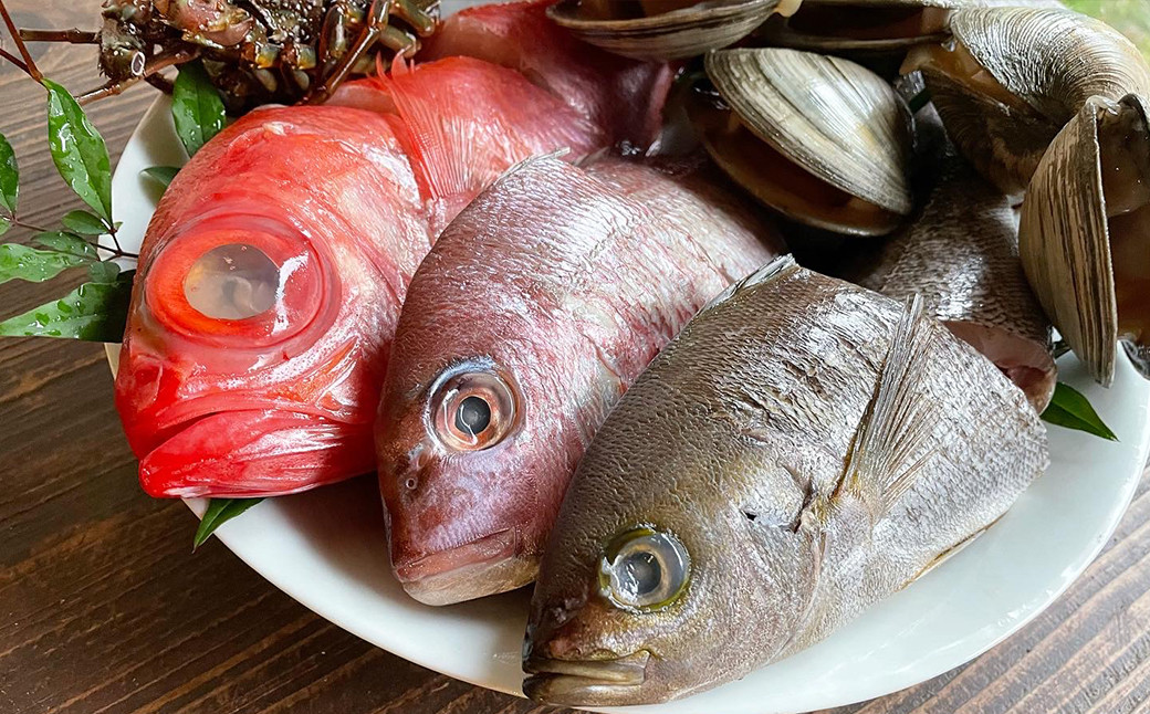 房総の新鮮な伊勢海老・地魚を冷凍・カット済で直送！（伊勢海老のみカットが必要です。）