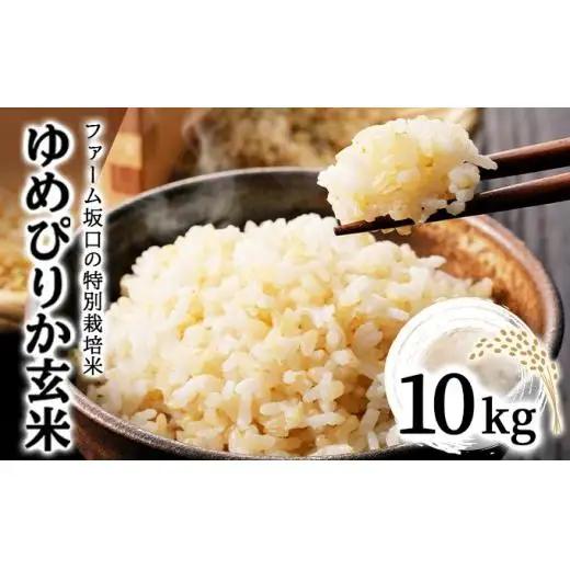 【玄米】《令和8年産》お米 ゆめぴりか玄米 10kg(10kg×1袋)｜米 北海道 岩見沢市 ファーム坂口の特別栽培米