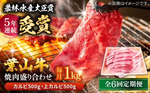 【農林水産大臣賞 5年連続受賞歴有】【全6回定期便】 葉山牛 焼肉用上カルビ500g焼肉用カルビ500g / 牛肉 牛 肉 お肉 国産 やきにく 焼き肉 カルビ かるび 上カルビ 上かるび BBQ ブランド牛 和牛 黒毛和牛 国産牛 贈答 ギフト 冷凍 葉山 定期 定期便 【有限会社葉山旭屋牛肉店】 [ASAP054]