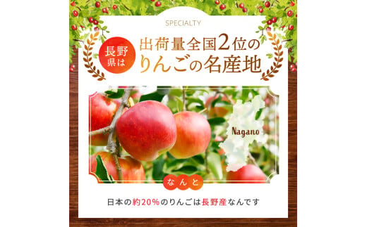 長野県産 りんご 秋映 約5kg 【2026年9月下旬～発送】