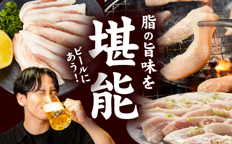 味付き 豚トロ 1.2kg【小分け 300g×4P 焼肉用 塩だれ 焼くだけ 小分け BBQ やきにく 数量限定】