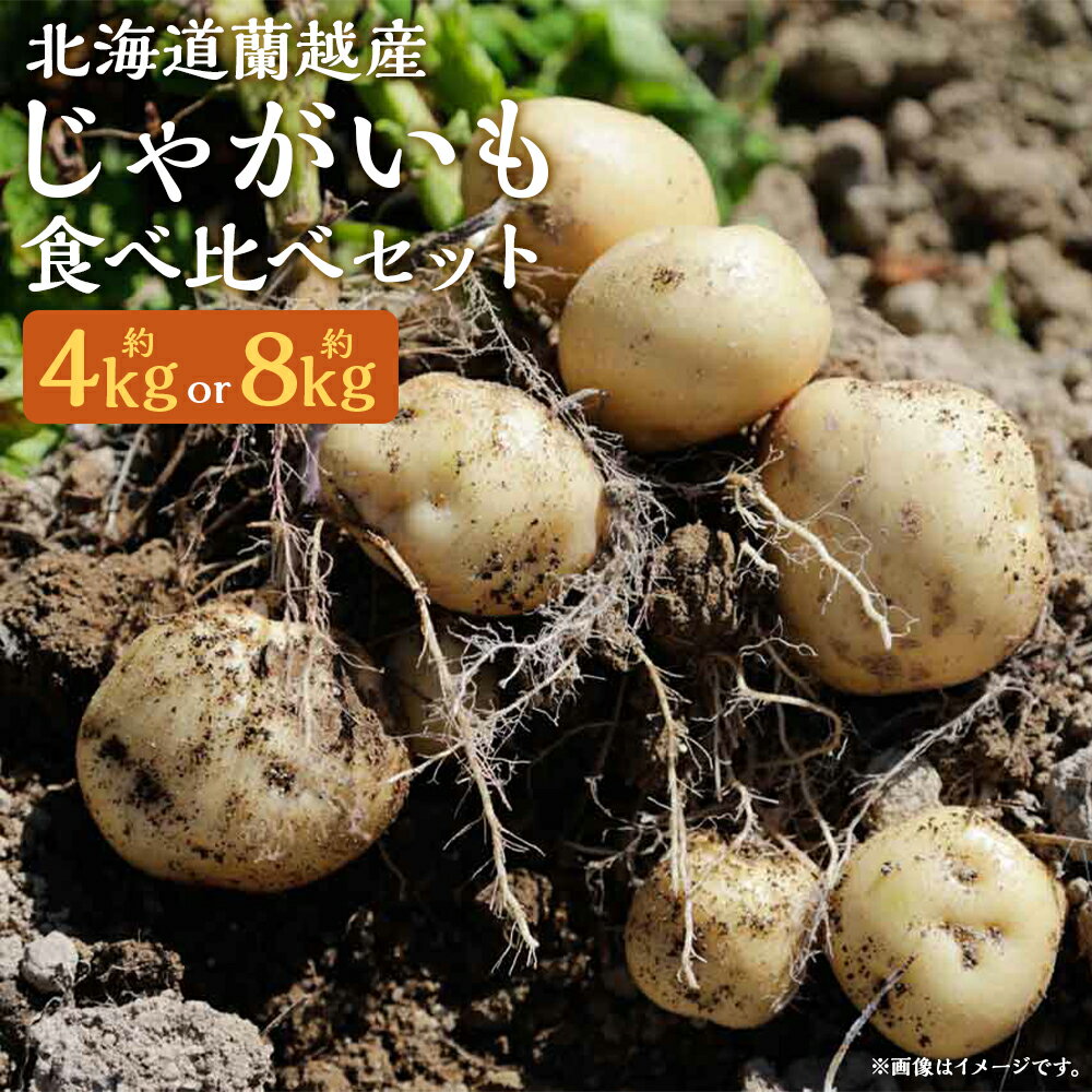 【ふるさと納税】北海道蘭越産じゃがいも 食べ比べ5種類セット 約4kg/約8kg 選べる内容量 男爵 きたあかり とうや メークイン グランドペチカ じゃが芋 芋 野菜 蘭越町産 北海道産 国産 送料無料【2025年11月下旬～2026年4月上旬に順次発送予定】