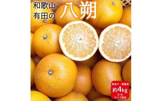 
ZE6379n_和歌山県産 有田の 八朔 (はっさく) 【訳あり 家庭用】 4kg (S～4Lサイズ混合) 【まごころ手選別】
