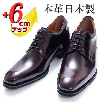 ふるさと納税 大和郡山市 牛革外羽根プレーン 6cmアップ メンズシークレットシューズ 紐 No.1931 ワイン23.5cm