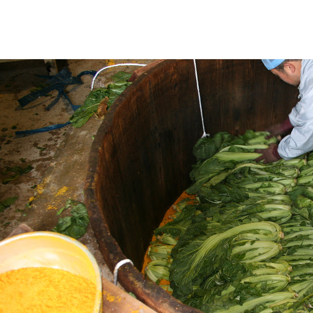 【3回定期便】高菜乃華4個入りセット 高菜漬一筋-前田食品工業 辛子めんたい高菜 辛子高菜 葉がくれ 高菜ご飯の素 F18-32_イメージ5