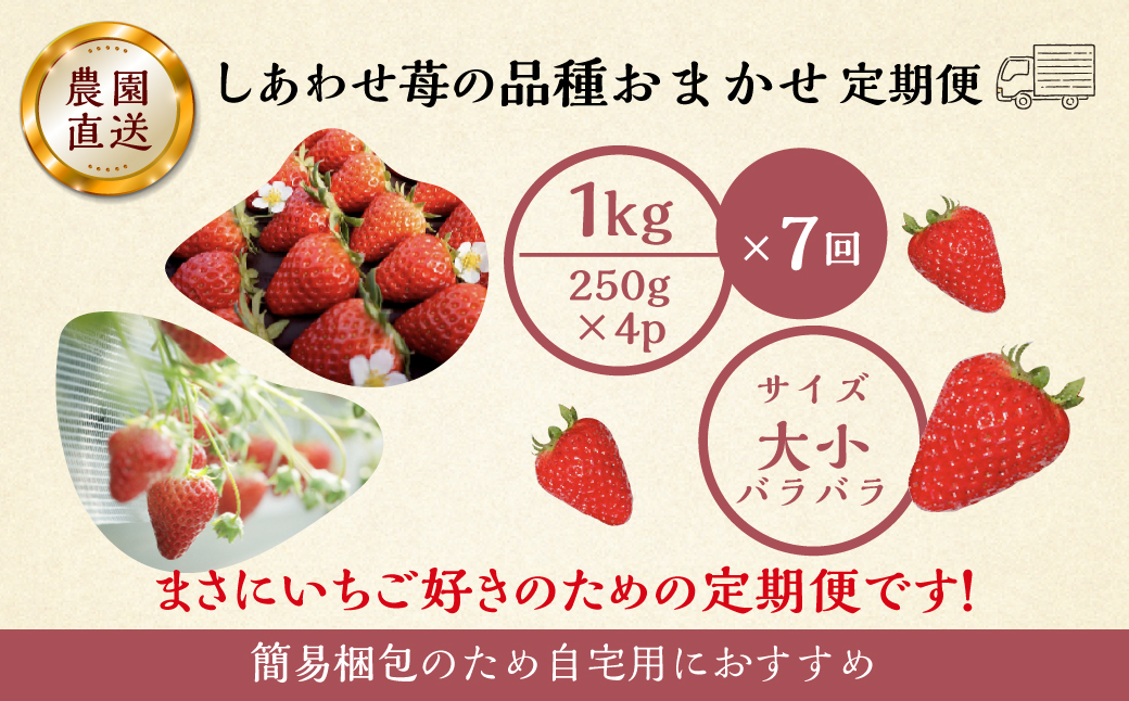 【プレミアム 定期便 全7回】【2027年1月より発送開始】自宅用 いちご 品種おまかせ 1kg (250g × 4p ）7か月 7回｜フルーツ 果物 スイーツ 苺 いちご イチゴ しあわせ苺 サイズ