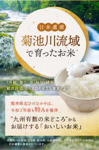 【定期12回】森のくまさん 無洗米 20kg （5kg×4袋）×12回 ｜ 米 無洗米 森のくまさん 熊本県 玉名市 くまもと たまな