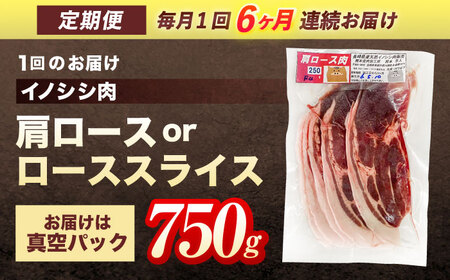 【6回定期便】天然イノシシ肉 肩ロース or ロース スライス 750g / ジビエ 猪肉 いのしし肉 ジビエ肉 肉じゃが用肉 イノシシ いのしし焼肉 長崎ジビエ 猪 ぼたん鍋 鍋肉 猪鍋 ジビエ鍋 