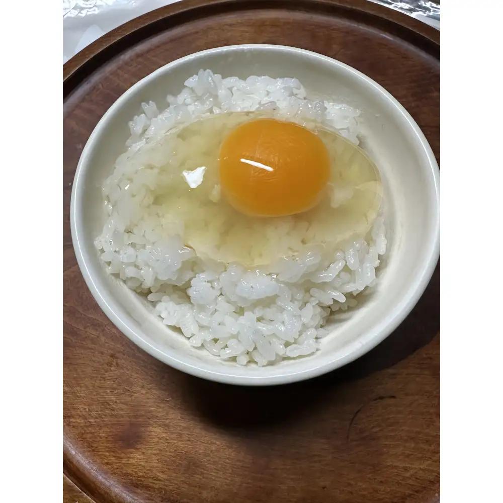 平飼い烏骨鶏のたまご12個 | 湯河原町 ミックスファーム 烏骨鶏 こだわり飼育 朝食