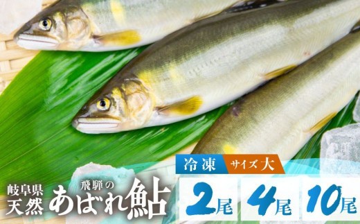 
                  ＜8月から寄附額改定＞《先行予約》＜8月から寄附額改定＞2026年産 飛騨 天然鮎 大サイズ 2尾 4尾 10尾 天然 アユ 鮎 岐阜県 室田名人 宮川下流 飛騨のあばれ鮎 高級料亭御用達 急速冷凍 冷凍 あゆ 魚 天然 川魚 10000円 20000円 50000円 1万円 2万円 5万円
                