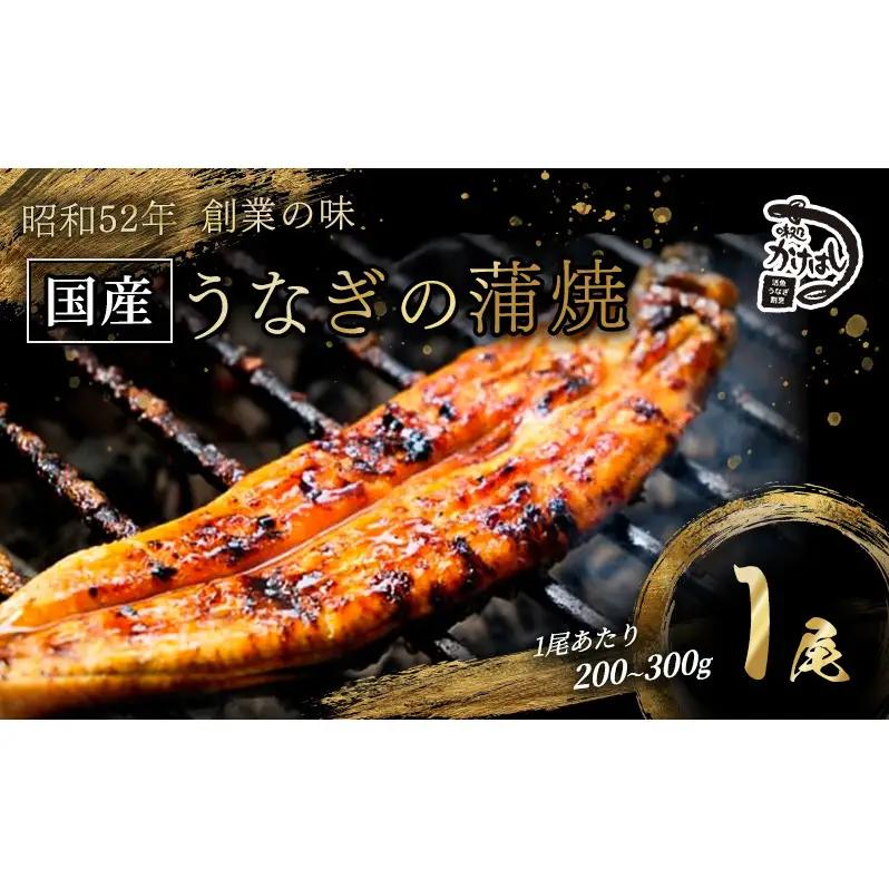 うなぎ 国産 手焼き蒲焼き タレ付き うなぎ【1尾 200〜300g】【冷凍】