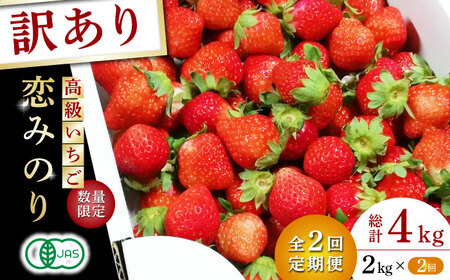 【訳あり】【先行予約】【2回定期便】高級 いちご 恋みのり 約2000g【伊藤農園】苺 いちご ストロベリー イチゴ 特産品 オーガニック 有機栽培 [ZBB014]