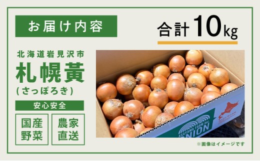 【先行予約】幻の玉ねぎ！札幌黄（さっぽろき）10kg たまねぎ 玉葱 タマネギ 国産 まとめ買い 業務用 贈り物 野菜 美味しい 送料無料 新鮮野菜 健康 和食 レストラン 国産野菜 採れたて 農家直