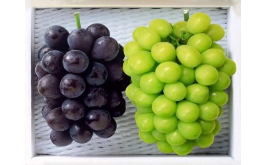 環-13【先行予約】岡山県産　秋の種無しぶどう詰め合わせ（約1.2kg）