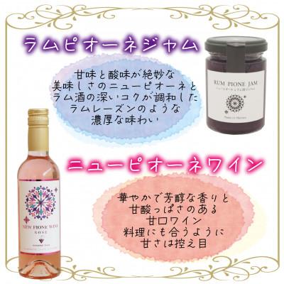 ふるさと納税 真庭市 岡山　花笑み農園のピオーネ加工品3種セット『ラムピオーネジャム&ピオーネワイン&飲む酢』JWN |  | 02