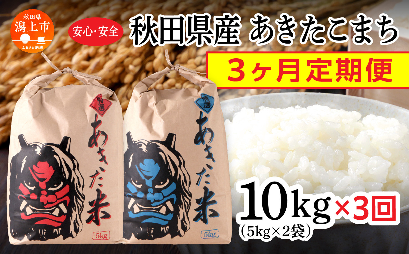 
【3ヶ月定期便】<新米>令和6年産 秋田県産 あきたこまち（5kg×2）精米
