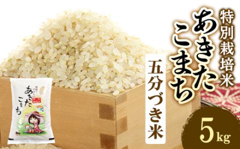 新米　令和7年産　特別栽培米あきたこまち　五分づき米5kg【配送不可地域：離島・沖縄県】