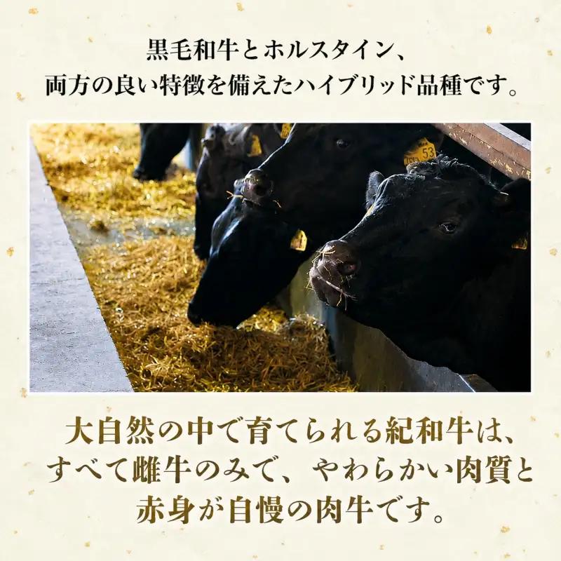 紀和牛 すき焼き用 ロース 200g【冷蔵】/ 牛肉 すき焼き すき焼き用ロース 牛肉 肉 国産牛 ブランド牛 和牛【tnk303-1】