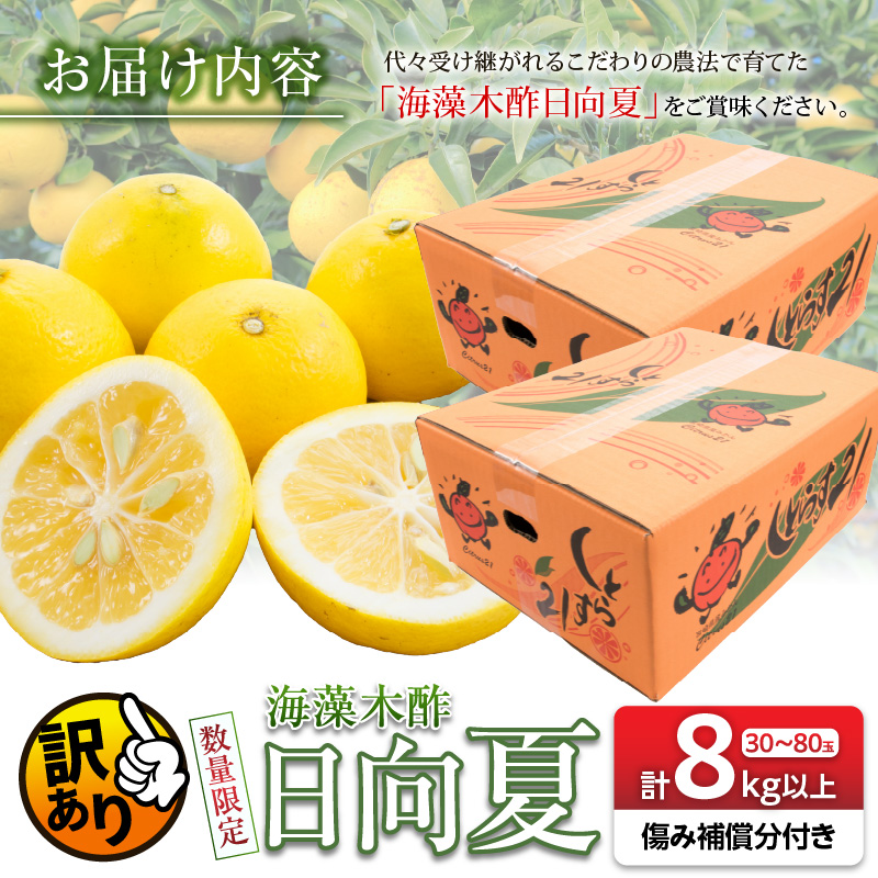 先行予約 訳あり 海藻木酢 日向夏 小夏 計8kg以上 傷み補償分付き 期間限定 数量限定 フルーツ 果物 くだもの 柑橘 みかん 訳アリ 国産 食品 デザート おやつ おすそ分け_BA80-24_イ