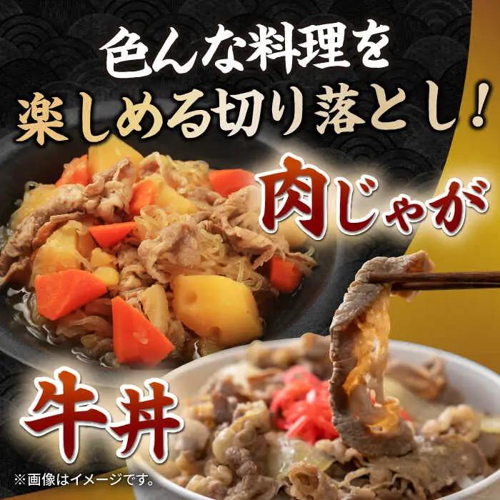 長崎和牛 切り落とし 600g（300g×2パック） [JEP008]切り落とし