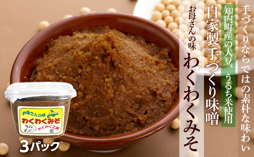 
            【12月25日決済まで年内発送】自家製 手づくり味噌 3パック《スリーエス》
          