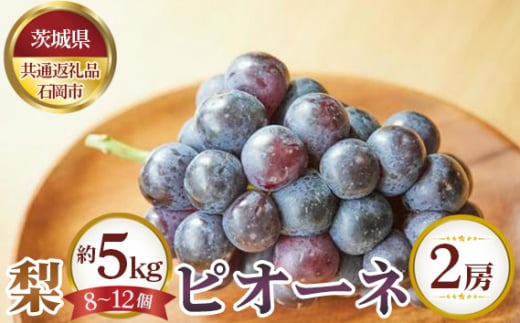 No.648 【先行予約】梨 約5kg（8～12個）とピオーネ2房【茨城県共通返礼品 石岡市】 ／ 果物 なし ぶどう 茨城県