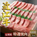 【ふるさと納税】 定期便 3回 近江牛 焼肉 特選 三種 盛り合わせ 600g 3ヶ月 ( 牛肉 肉 国産 ブランド牛 ブランド和牛 日本三大和牛 和牛 黒毛和牛 バーベキュー BBQ 竜王産 産地直送 澤井牧場 滋賀県 竜王町 送料無料 ギフト プレゼント 贈り物 冷凍 )