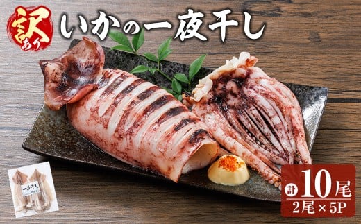 ＜訳あり＞ いかの一夜干し (計10尾) 魚介 いか イカ 烏賊 一夜干し 冷凍 おつまみ つまみ スルメイカ するめいか するめ 国産 小分け 【opar003】【磯武】