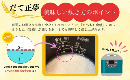令和5年産　東松島産 だて正夢（精米）10kg 宮城県 米