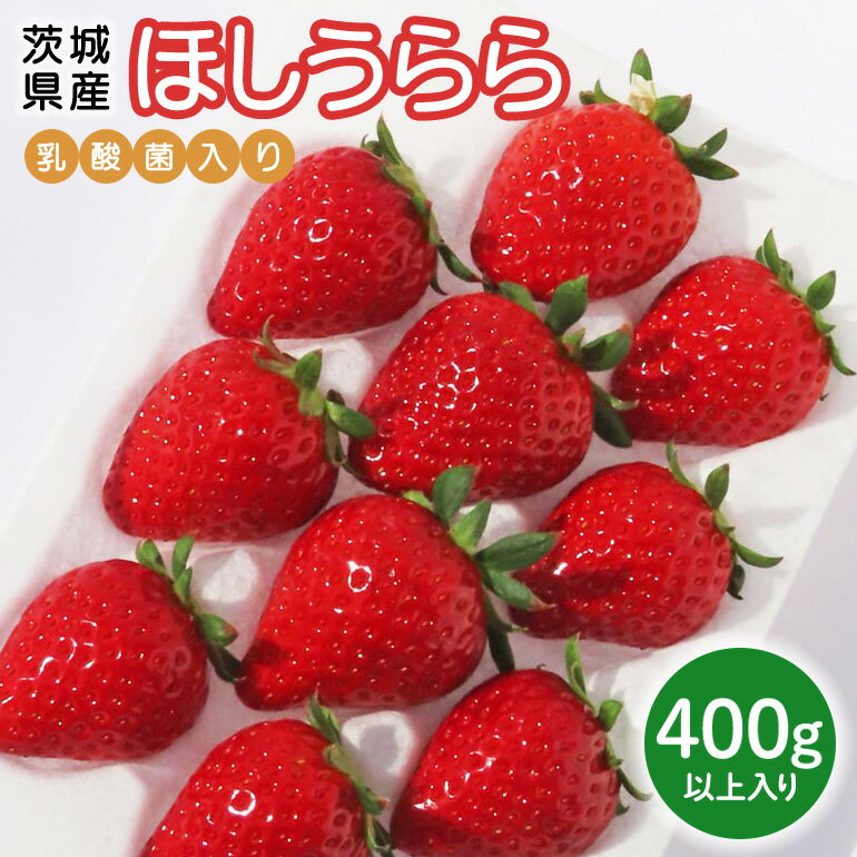 【ふるさと納税】 【先行予約・数量限定】ほしうらら 『乳酸菌入りいちごパック』 400g以上入り いちご 乳酸菌 イチゴ 苺 フルーツ 果物 くだもの 健康 パック 贈答 ギフト 茨城 国産 19-AJ 【4/10～5/10順次発送予定】