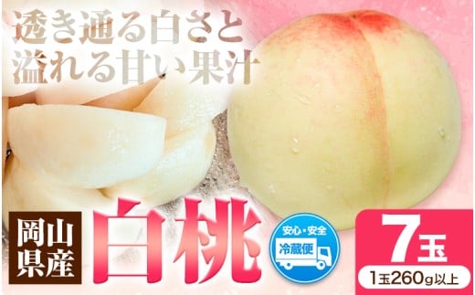 先行受付 岡山県産 白桃 1玉 260g以上 7玉入り ロイヤル 令和8年産 《2026年7月中旬-8月下旬頃出荷》 【配送不可地域あり】