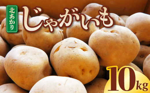 【訳あり】じゃがいも  10kg   野菜 ジャガイモ ポテト キタアカリ きたあかり 岩手県 金ケ崎町