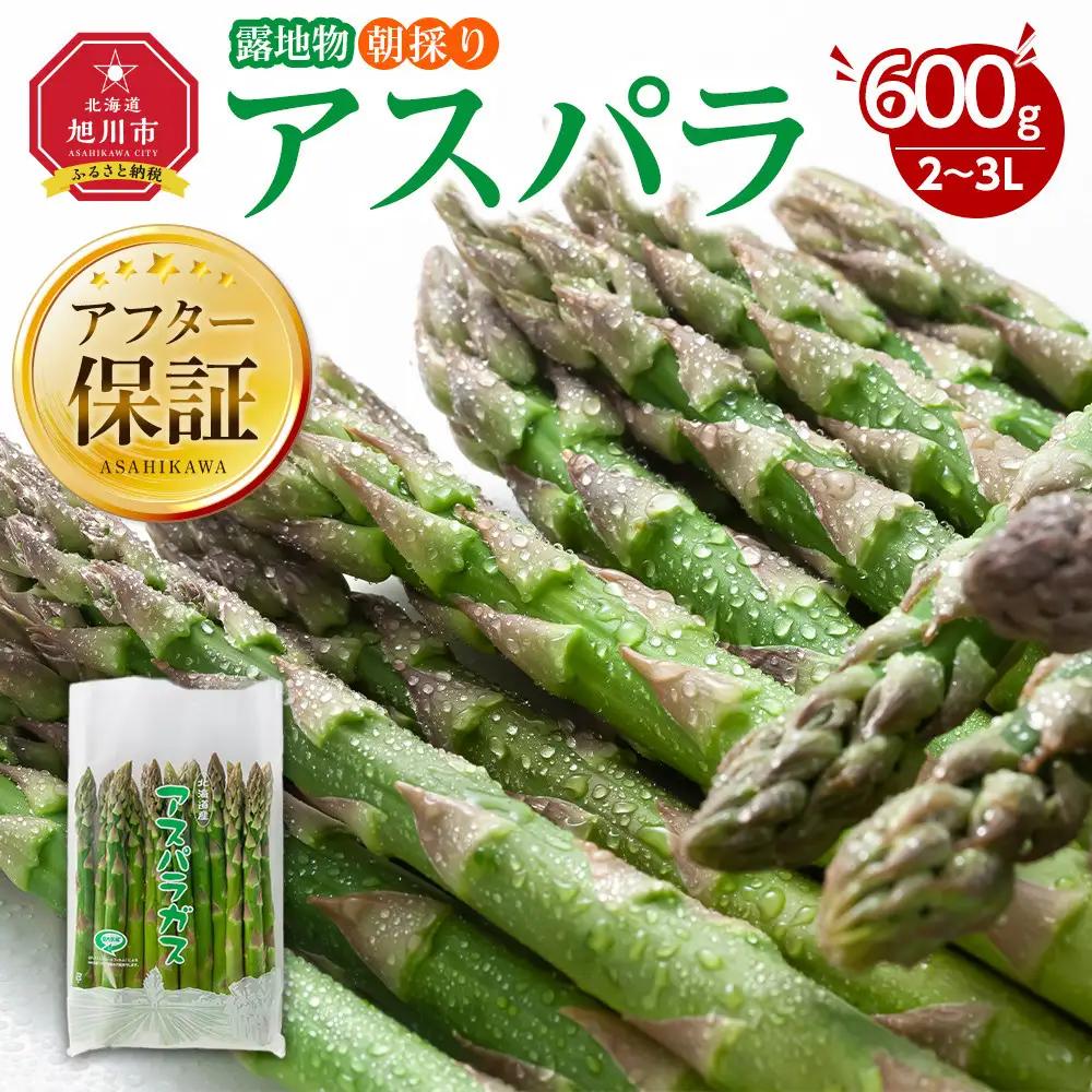 【先行予約】露地物朝採りアスパラ　鮮度保持フィルム入り　2～3L　600g(5月中旬発送開始) | アスパラ 北海道 _03816