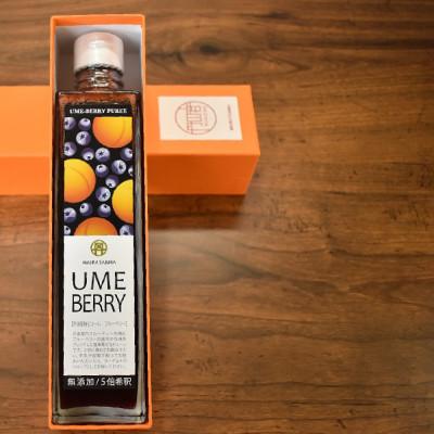 ふるさと納税 京丹波町 梅ベリーピューレ UMEBERRY  完熟梅 無添加 5倍希釈315ml |  | 01
