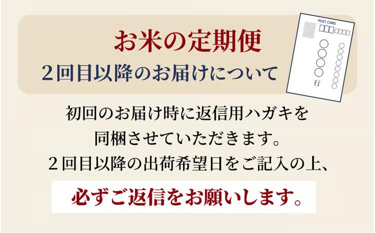 ＜定期便全3回＞ 令和8年産 真庭市産きぬむすめ 白米 5kg×3回（配送タイミングを指定できます） / お米 国産 岡山県 米 きぬむすめ 人気 ブランド 2026年産 【tkns-tkb013】