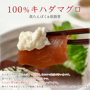 a12-279　天然 キハダマグロ 切り落し 小分け 焼津 海の極 計1.1kg 100g×11P