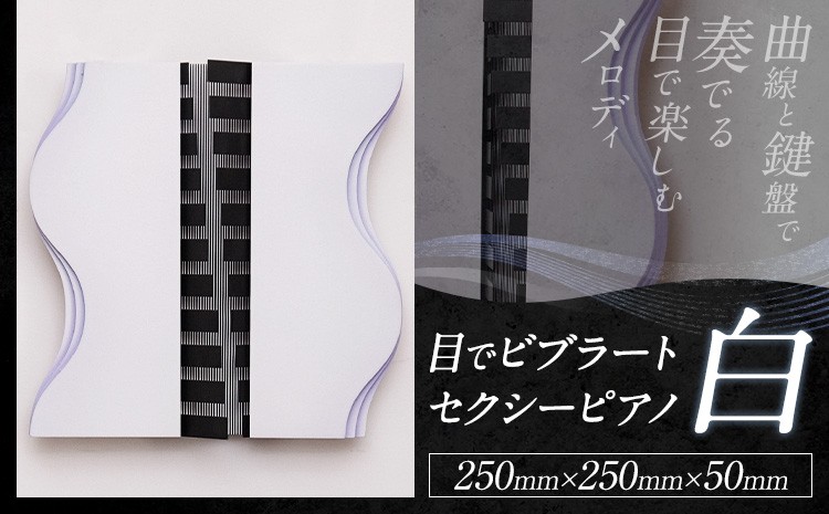 
                  アート作品 目で ビブラート セクシー ピアノ 白 250mm×250mm×50mm ホシカ・アート・プロ 芸術作品 錯視 アート 芸術品 インテリア 壁掛けパネル
                
