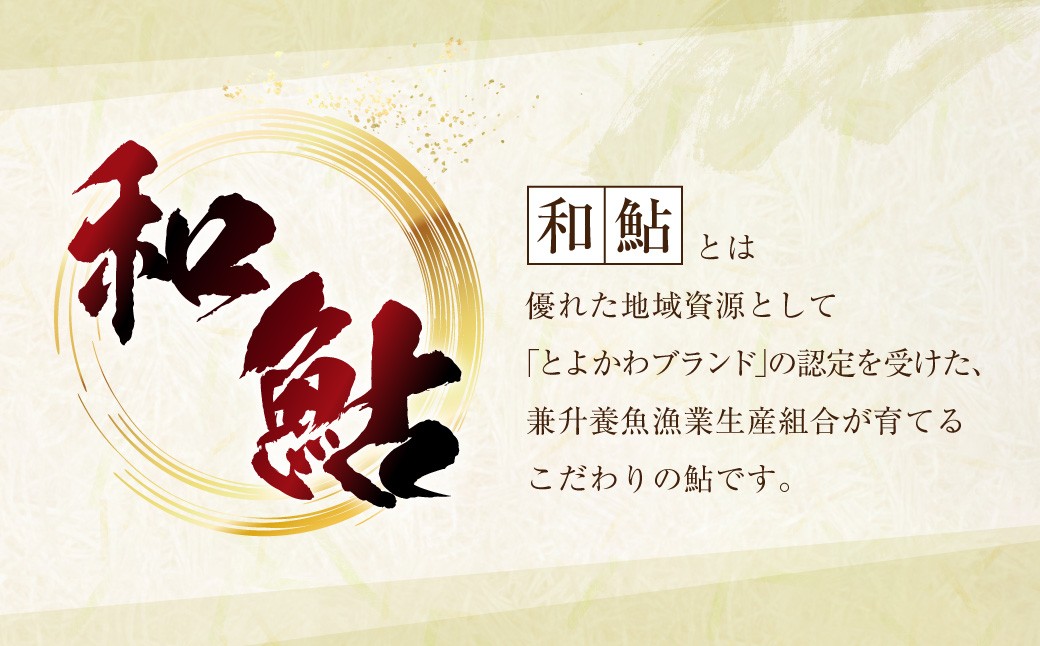 【 とよかわ鮎 】 冷凍 約10kg 厳選鮎使用！ （ 急速冷凍 ）