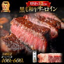 【ふるさと納税】黒毛和牛 厚切り サーロイン 【 選べる グラム数 】 400g 500g 600g 送料無料 高評価 サーロインステーキ ステーキ 焼肉 ブロック 厚切 厚い タレ 薬味 トング プロ 冷蔵 解凍不要 国産 鹿児島市 土産 贈り物 プレゼント ギフト 贈答