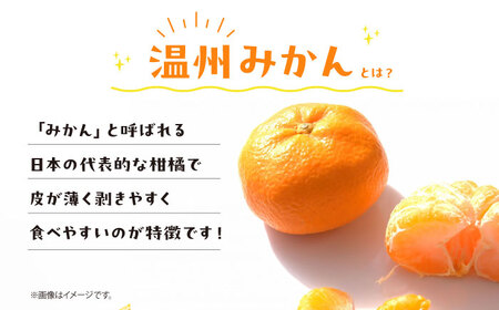 愛媛県産 大人気の手作り「温州みかん」100%ストレートジュース（720ml×6本）　愛媛県大洲市/峯田農園[AGBT014]