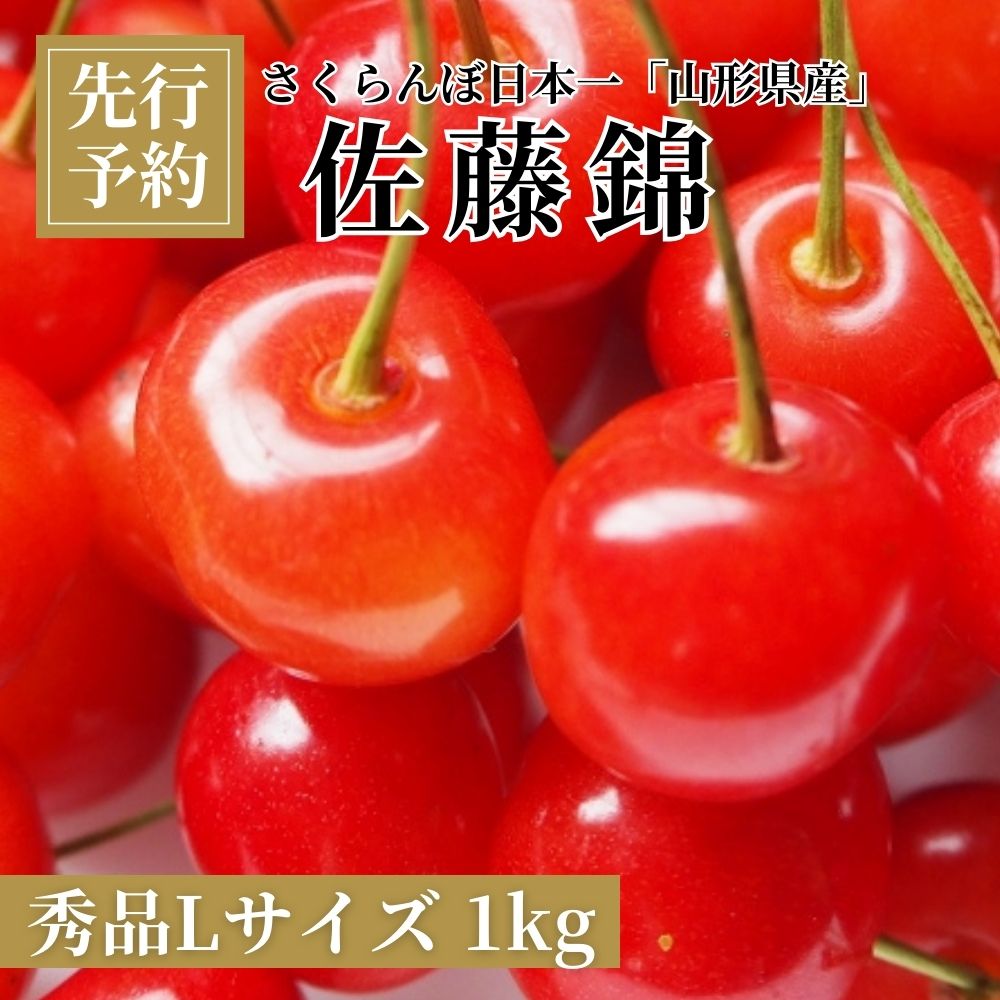 ＜先行予約＞さくらんぼ 佐藤錦 秀品 L 1kg 【2026年6月下旬頃発送】 山形県 朝日町産 農産物 フルーツ 山形産 バラ詰め サクランボ 高級 果物 初夏