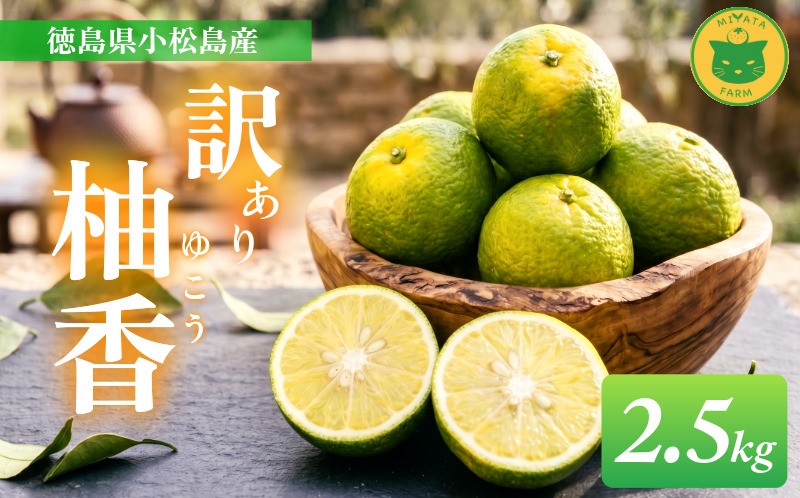 
                  【訳あり】ゆこう 2.5kg (2026年10月下旬発送）柑橘 ゆこう 柚香 フルーツ 果物 くだもの 果実  黄色 果皮 果汁  スイーツ デザート アレンジ 小松島市
                