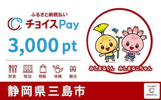 
                  三島市チョイスPay 3,000pt【会員限定のお礼の品】
                