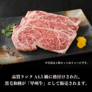 【福袋】甲州牛 満喫詰め合わせ Bセット　黒毛和牛 サーロイン ステーキ 1枚 250g すき焼き用 300g 切り落とし 300g 品質ランク A4以上 牛肉 肉 和牛 贅沢 バーベキュー ミート池