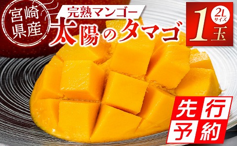 《2025年発送》【期間・数量限定】宮崎特産品　宮崎県産完熟マンゴー　太陽のタマゴ　2L×1個