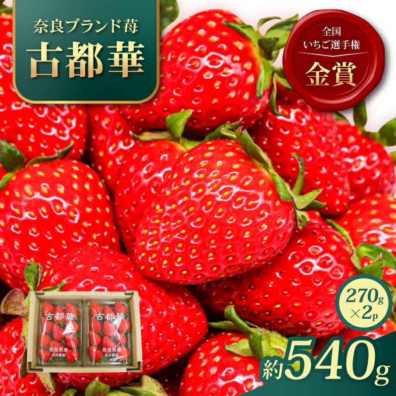 【ふるさと納税】 いちご 古都華 約540g 約270g × 2パック 2026年1月発送 冷蔵 小分け 果物 スイーツ デザート フルーツ ベリー ふるさと納税いちご 大粒 採れたて 完熟 おやつ 産地直送 先行予約 数量限定 季節限定 ブランド 苺 イチゴ いちご 岩井農園 奈良県 奈良市