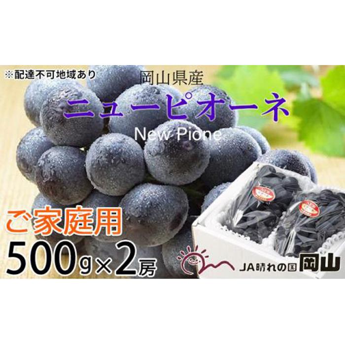 【ふるさと納税】ぶどう 2025年 先行予約 ご家庭用 ニュー ピオーネ 約500g×2房 ブドウ 葡萄 岡山県産 国産 フルーツ 果物 | フルーツ 果物 くだもの 食品 人気 おすすめ 送料無料