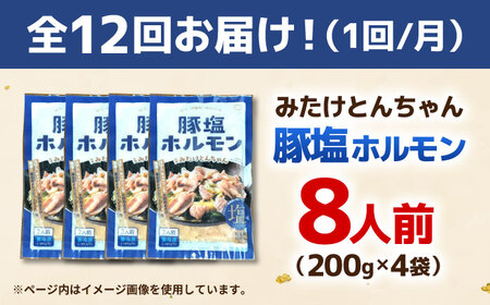 【12回定期便】岐阜県産豚もつの鉄板焼き「元祖みたけとんちゃん」豚塩味（8人前）[AVAA063]豚 定期